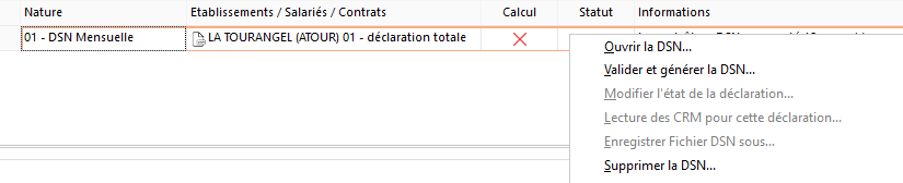 dsn ouvrir.png